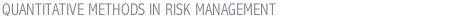QUANTITATIVE METHODS IN RISK MANAGEMENT