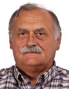 Doc. dr. sc. Nikola Švigir