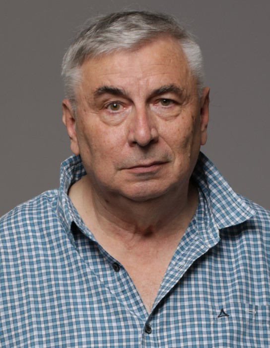 Prof. dr. sc. Robert Nađ
